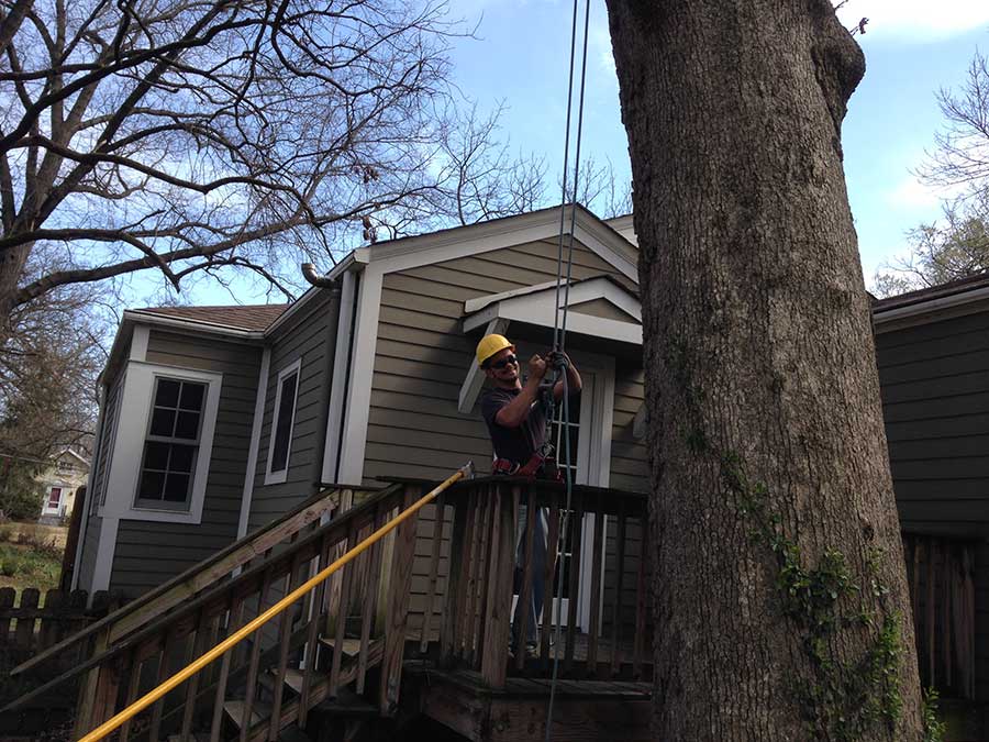 Gonzalez Tree Service