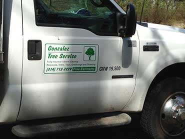 Gonzalez Tree Service - Our Works