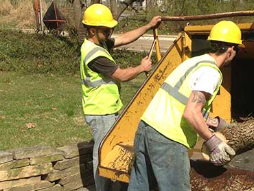 Gonzalez Tree Service