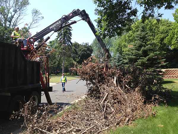 Gonzalez Tree Service